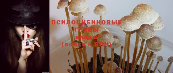 дживик Корсаков