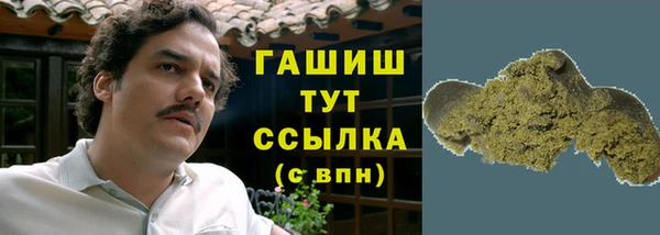 гидра Коряжма
