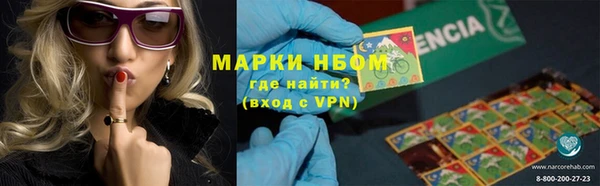 дживик Корсаков