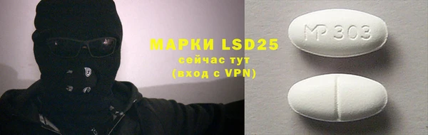 гидра Коряжма
