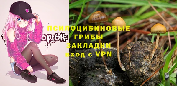 МДПВ Костерёво