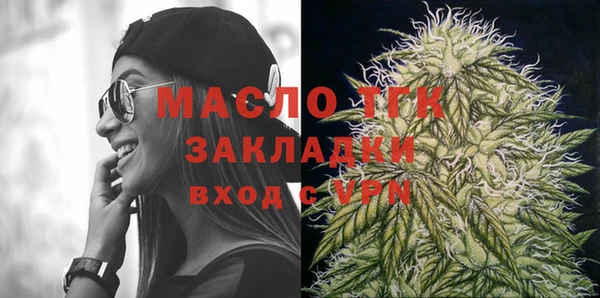 гидра Коряжма