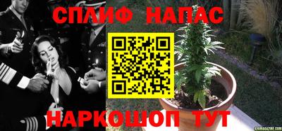 спайс Балашиха