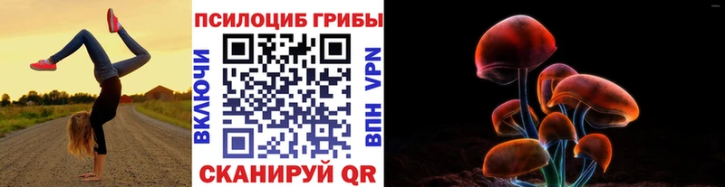 МЕГА вход  продажа наркотиков  Вичуга  Галлюциногенные грибы Psilocybe 