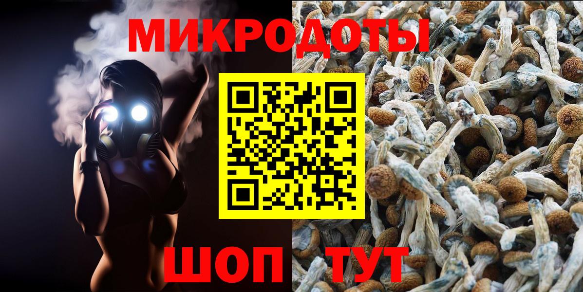 Галлюциногенные грибы Psilocybe  Галлюциногенные грибы прущие грибы  Вичуга  Вход с VPN 