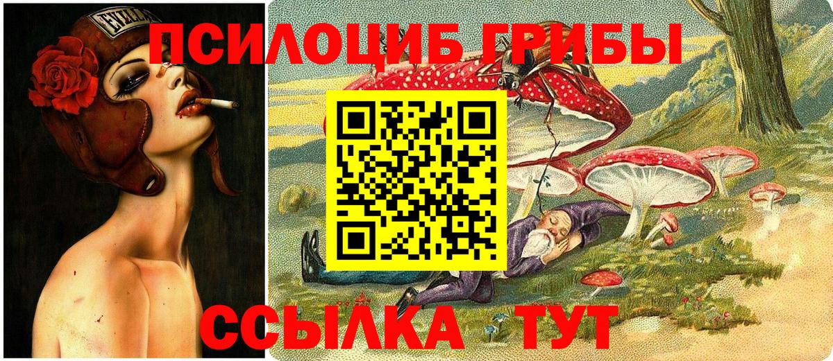 Псилоцибиновые грибы Magic Shrooms Вичуга
